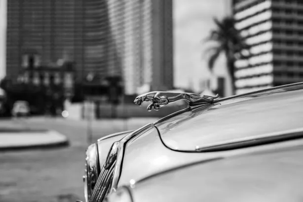 Betobet Kazino Android/iOS Lietotne